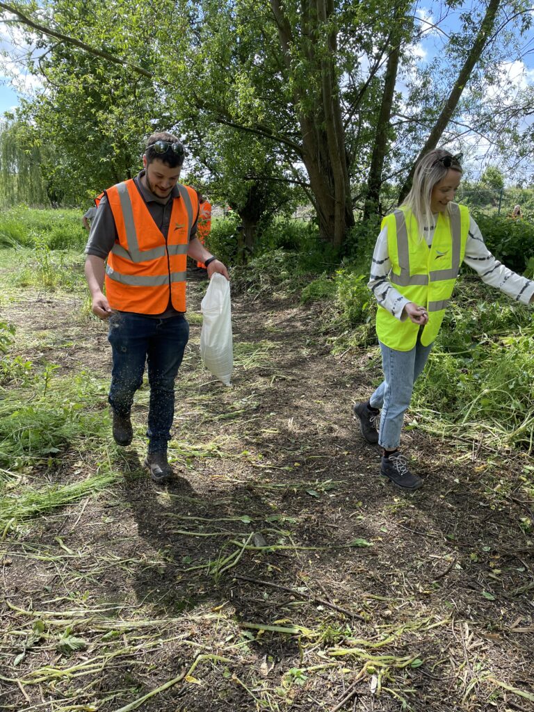 Millennium Green York Himalayan Balsam Volunteer Day