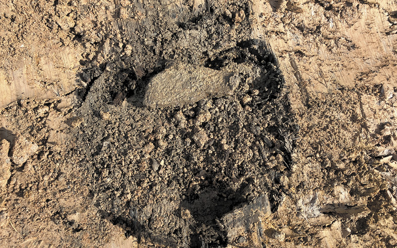 Railways Dumping