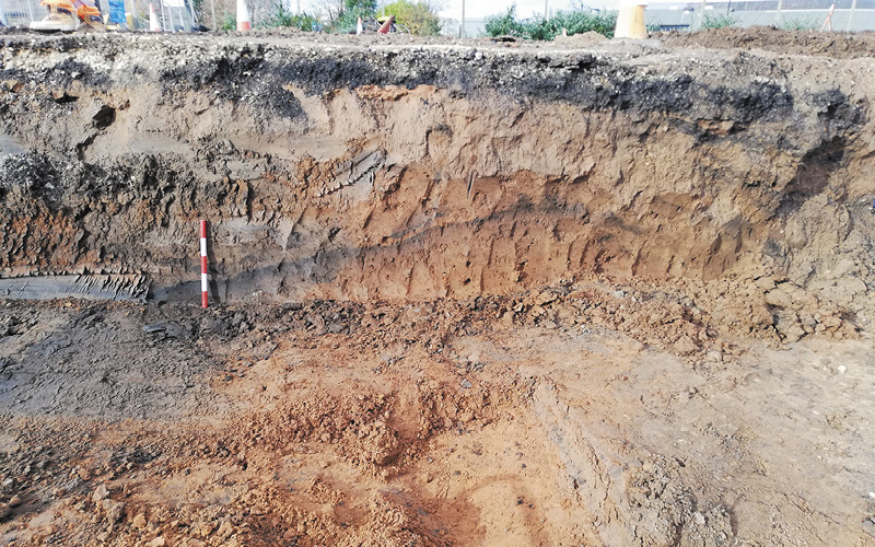 WWII Bomb Crater